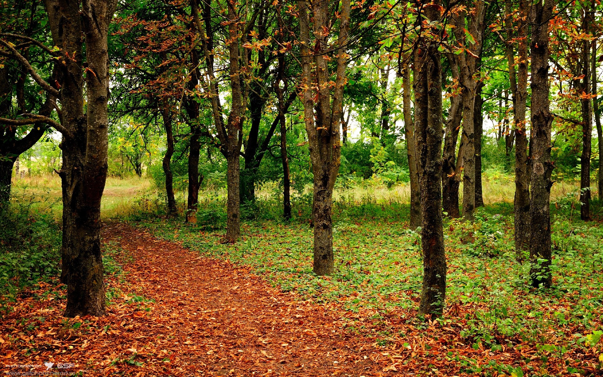 开云体育官网在线-国际乒联混合团体世界杯：加拿大队的稳定发挥与决胜时刻，加拿大乒乓球世界排名
