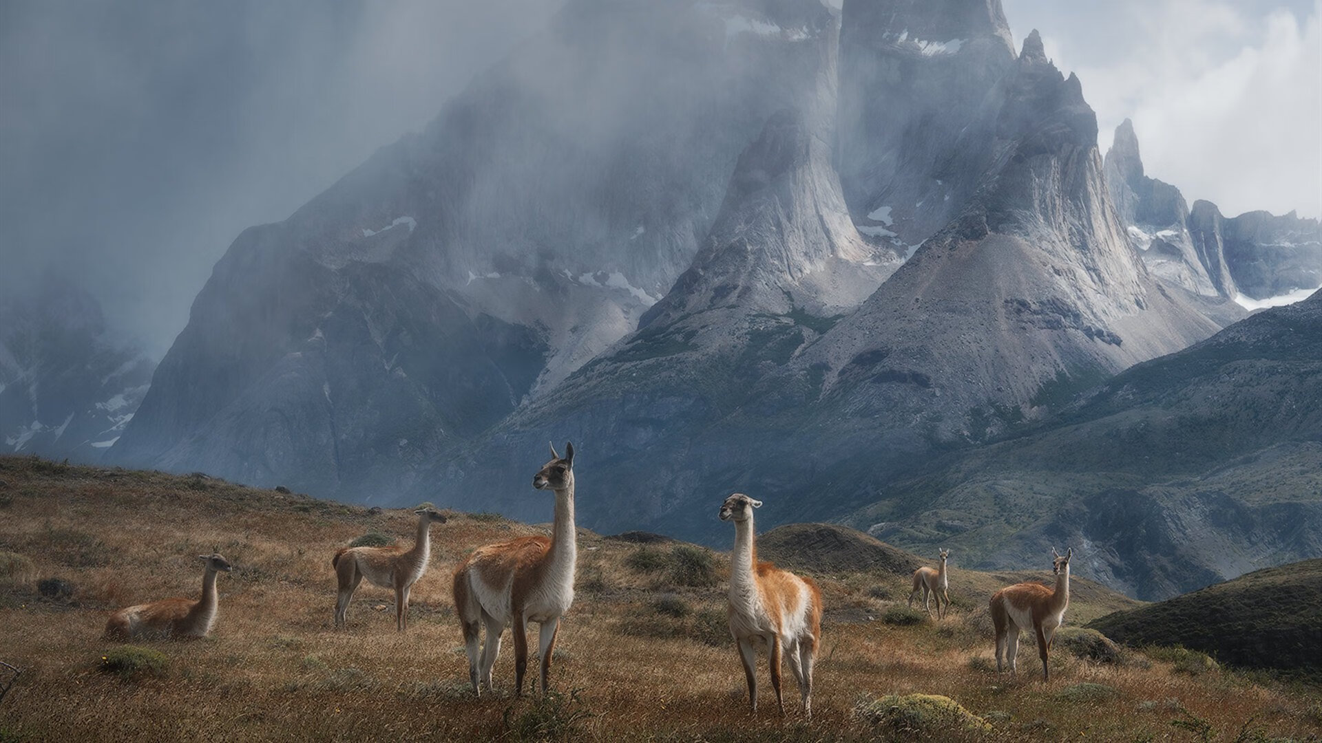德国自由泳健将强势闯入半决赛，德国自由运动
