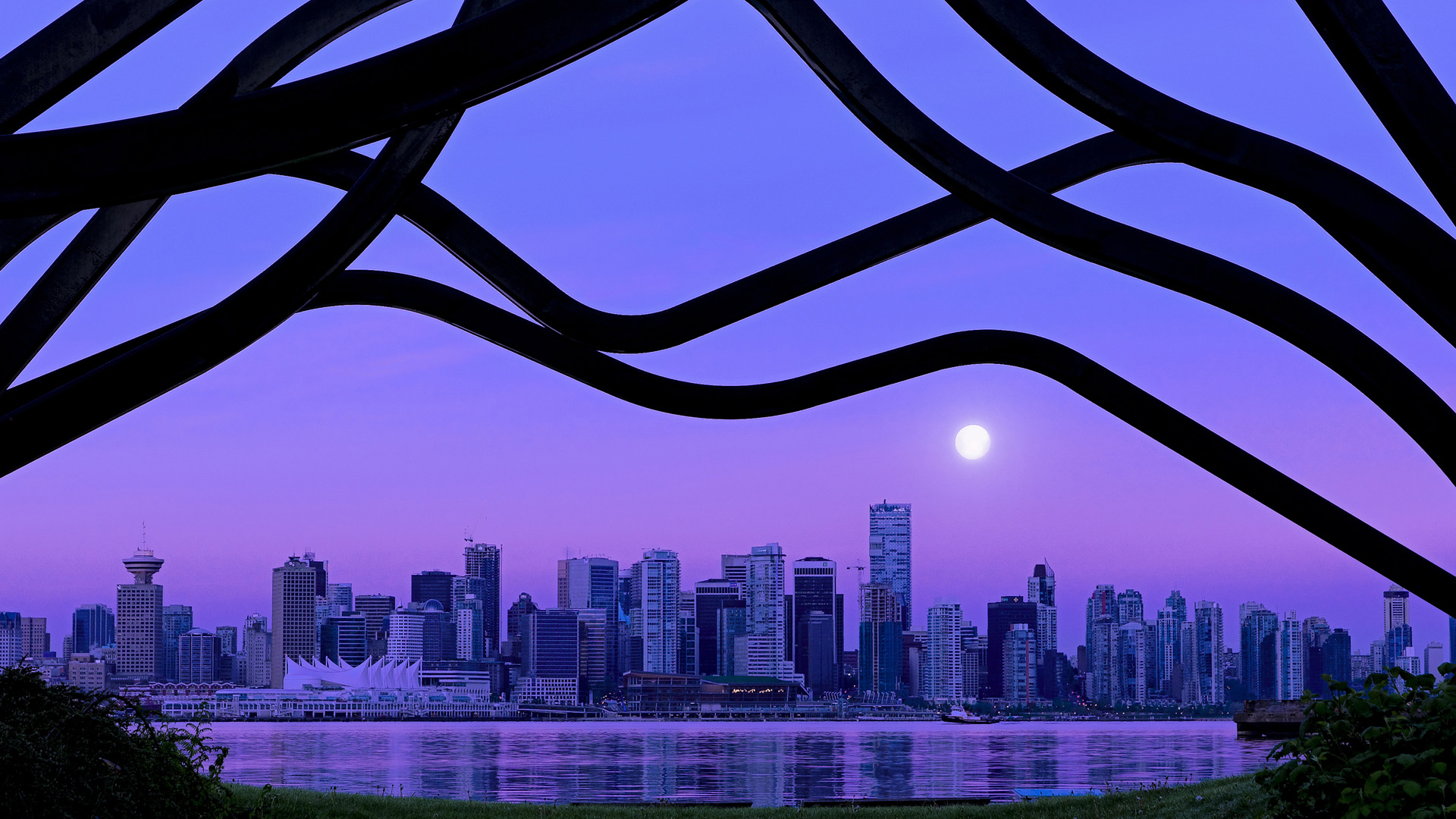 自由泳长距离澳洲选手表现稳定，澳大利亚男子自由泳