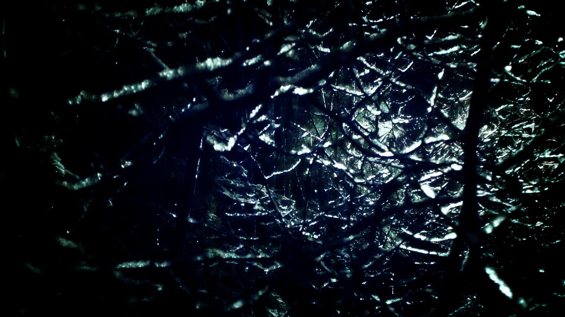 开云体育足球-“马科斯·莫奇的战术执行力与快速反应，为美洲狮队带来强大优势”