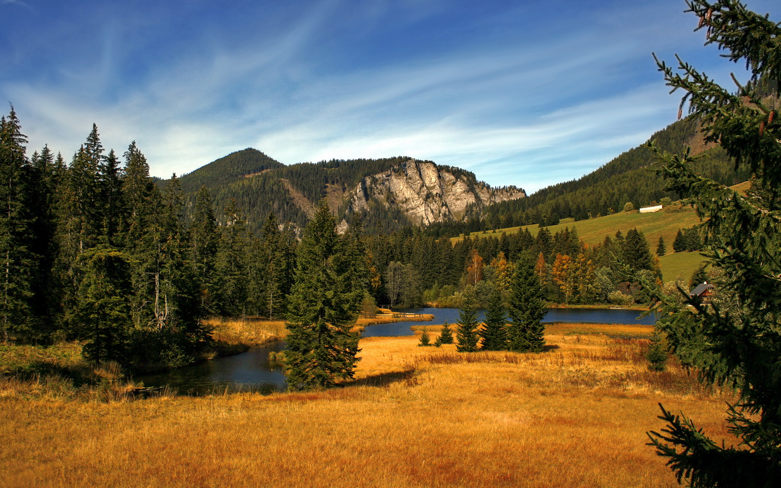 国家女篮备战亚洲赛事注重技战术细节和团队配合，女篮亚洲版