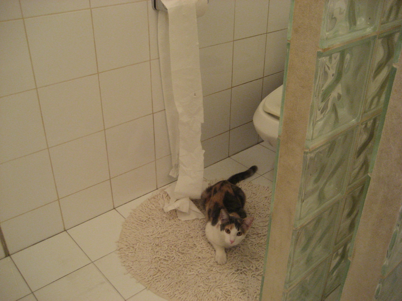 开云体育在线-威尔士青少年橄榄球赛事成为新兴亮点，威尔士运动