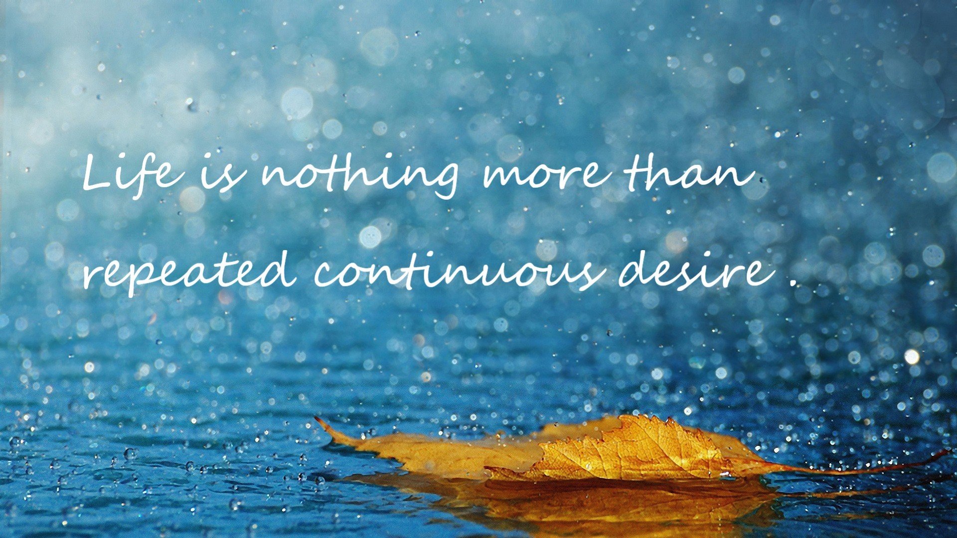 开云体育app入口-李娜称孩子教育方式来自运动理念，李娜老师资料