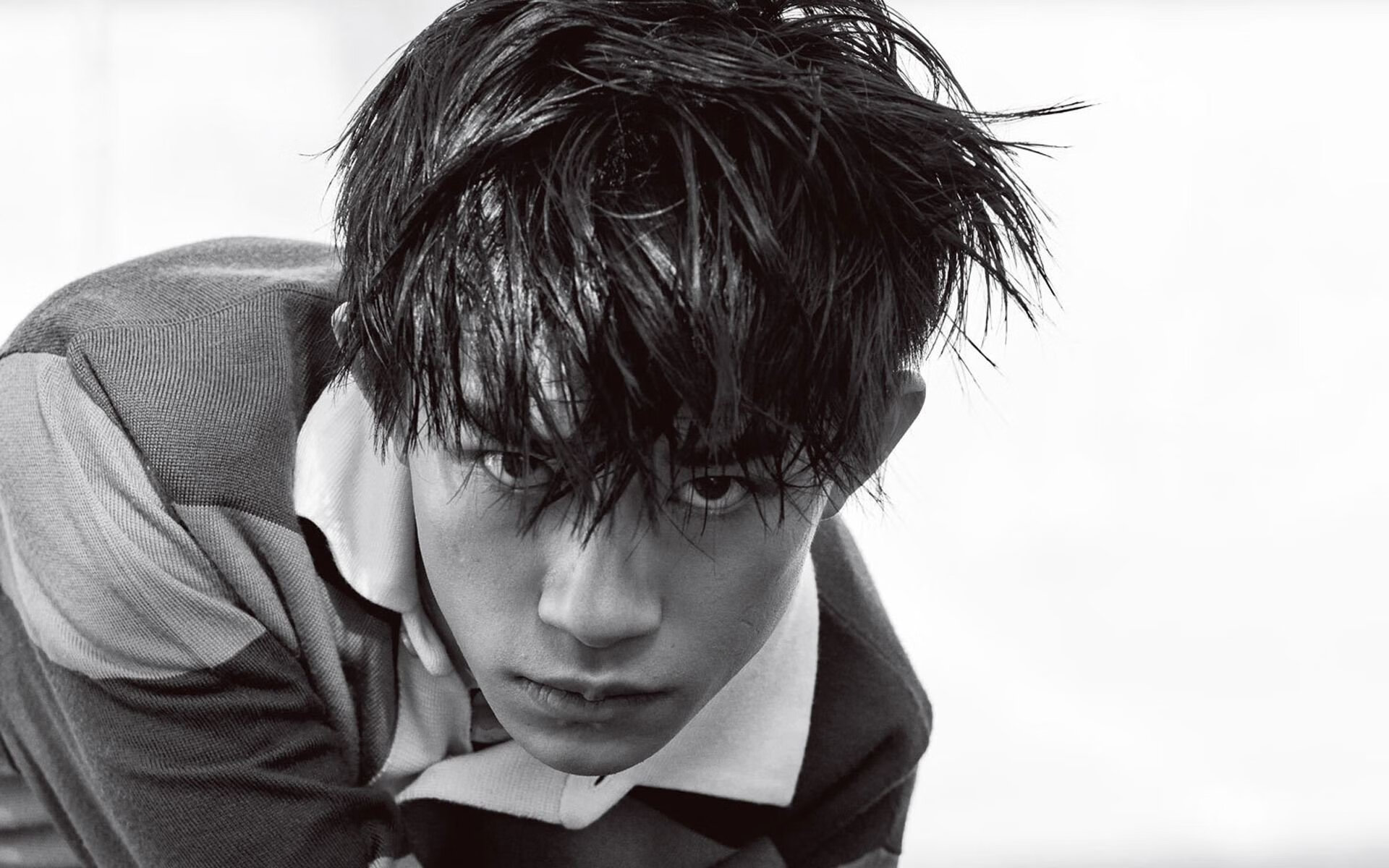 美洲杯奋战不息：明星拼搏，精彩绝伦！，美洲杯人气