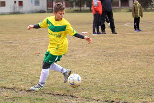 开云体育app下载-中国球迷文化正在发生什么变化，球迷文化什么意思